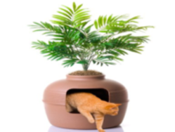 litter box plant pot