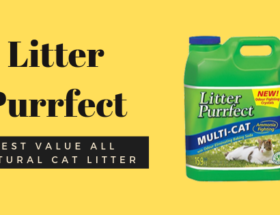 Tofu Cat Litter  Review 2021 KittyExpert com