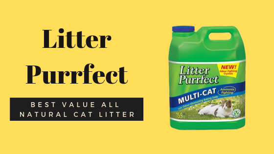 What Happened to Litter Purrfect  Buy Litter Purrfect  at 