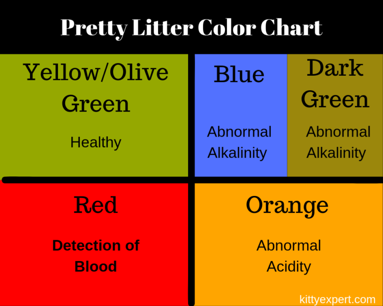 What Color Should Cat Urine Be