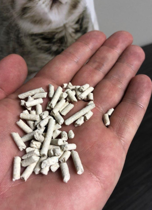 tofu cat litter
