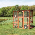 outdoor cat enclosure