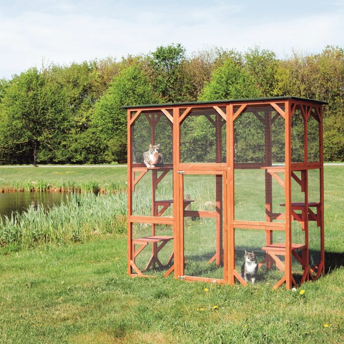 Outdoor Cat Enclosure: Review - The Kitty Expert