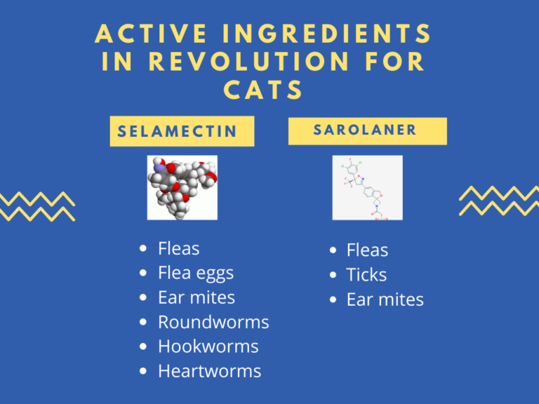 revolution for cats ingredients