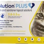 revolution plus for cats