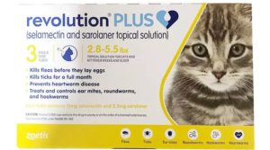 revolution plus for cats