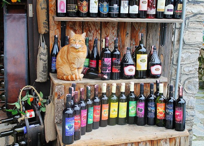 alcohol names for pets