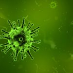 Can pets get Corona Virus?