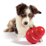 puppod review