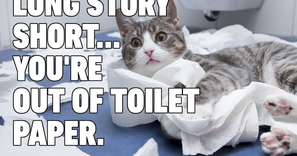 Best Coronavirus Cat Memes Woman Yelling At Cat Meme
