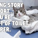 best Cat memes about coronavirus
