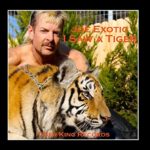 buy joe exotic album I saw a Tiger