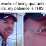Tiger King Quarantine Meme