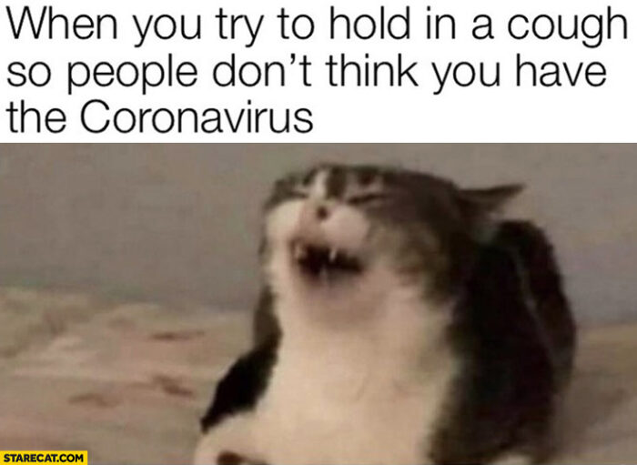 cat coughing Cat meme about coronavirus