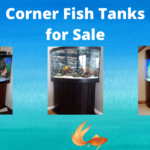Corner Fish Tanks for Sale