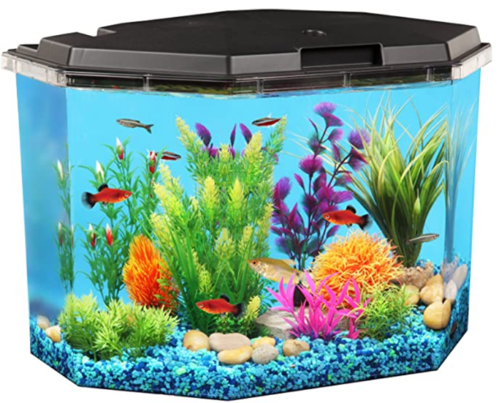 Corner Fish Tanks for Sale - The Kitty Expert