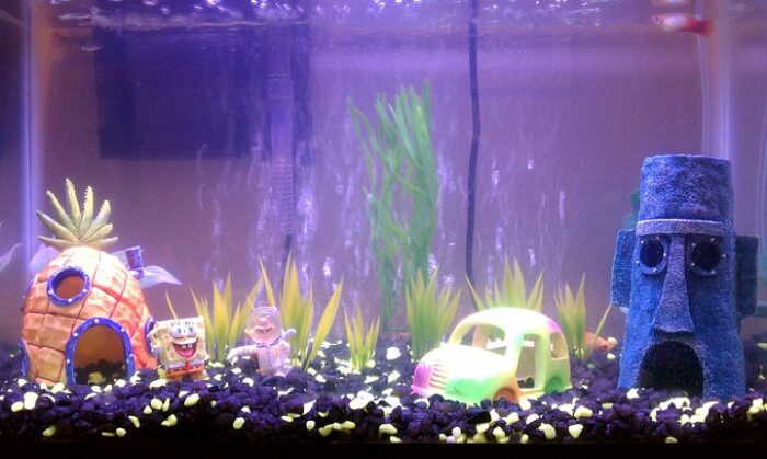 cute fish tank decor
