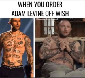 adam levine tiger king meme