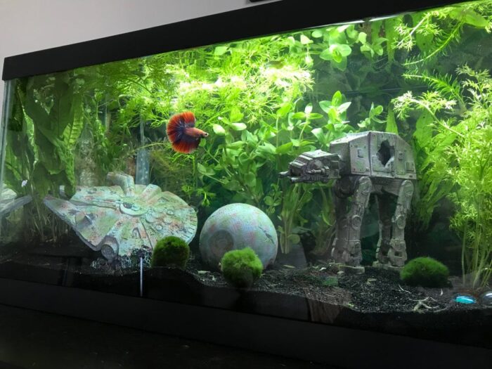 At-At Star Wars fish tank decoration