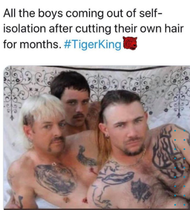 joe exotic isolation hair meme