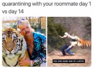 Joe Exotic Memes Funniest Memes From The Tiger King