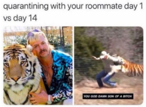 joe exotic corona memes