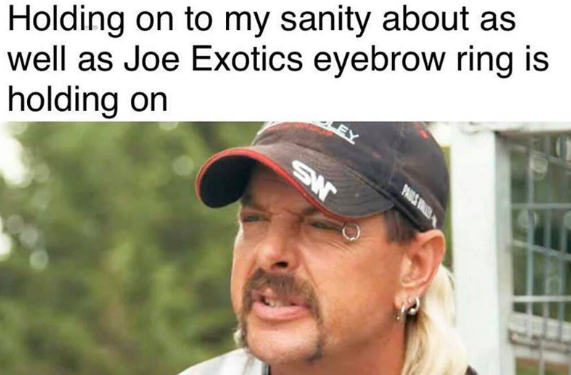 joe exotic eyebrow ring meme