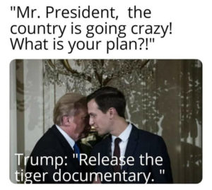 donald trump tiger king meme
