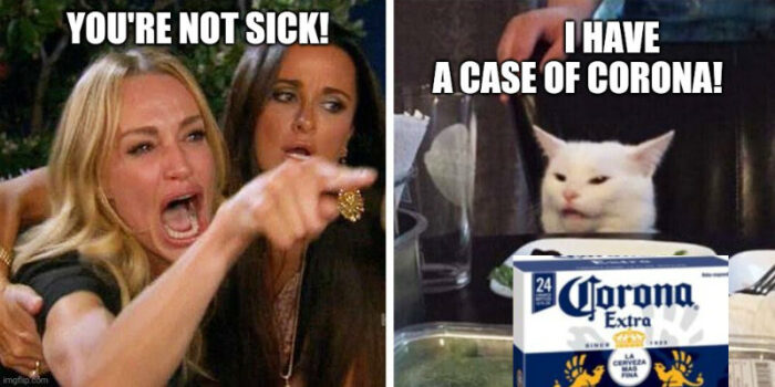 Best Coronavirus Cat Memes: woman yelling at cat meme - The Kitty Expert