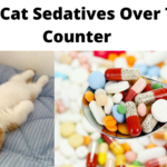 cat sedatives over counter
