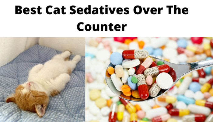 cat sedatives over counter