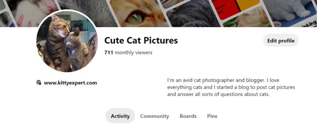 Cute cat pictures on Pinterest