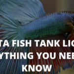 betta fish tank light