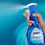 Can I use dawn to clean my fish tank