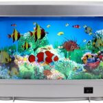 cheap tropical fish tanks for beginners