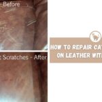 how to repair cat scratches on leather with olive oil