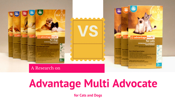 Review of Advantage Multi Advocate for Cats and Dogs