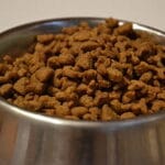 how much fiber do cats need