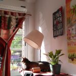 How to Design a Room for Your Cat