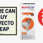 where can I buy bravecto cheap