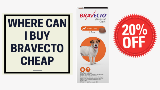 where can I buy bravecto cheap