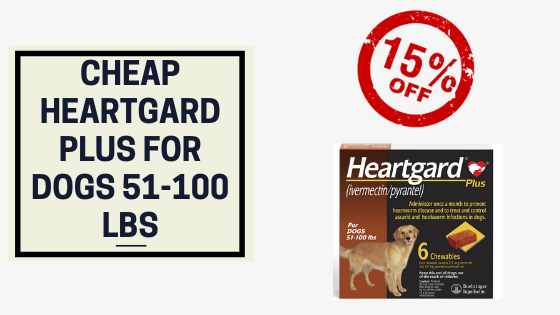 cheap heartgard plus for dogs 51 100 lbs