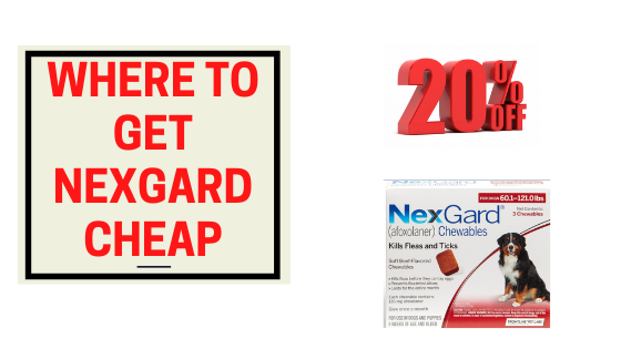 Where to Get Nexgard Cheap