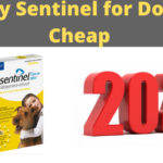 buy sentinel for dogs cheap