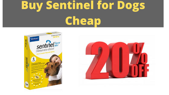 buy sentinel for dogs cheap