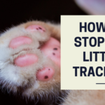 how to stop cat litter tracking