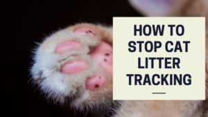 how to stop cat litter tracking