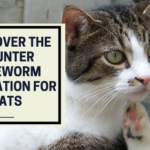 best over the counter tapeworm medication for cats