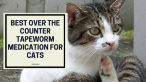 best over the counter tapeworm medication for cats