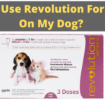 Can I Use Revolution For Cats On My Dog?